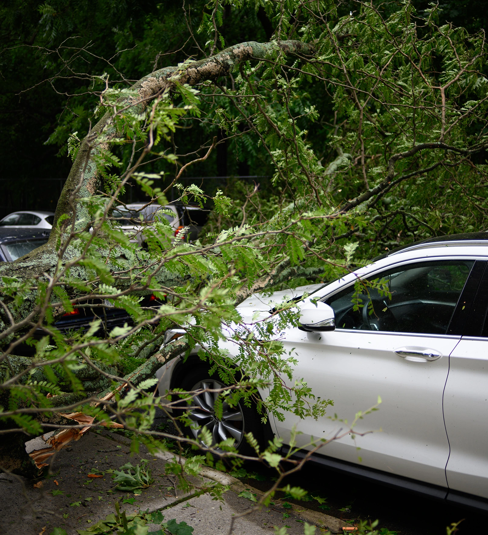 Ofac+ Assurances compagnie d'assurance dans la Wallonie en Belgique - Five Insurance